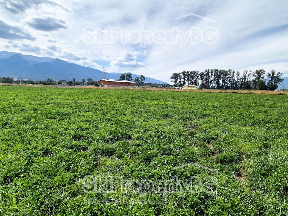 Предлагаме два съседни имота за продажба!