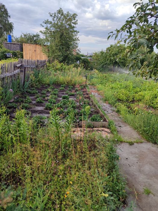 Продам дачу Садовод Колос