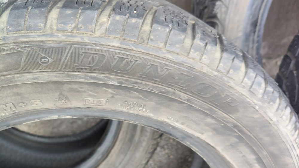 Шины Данлоп лето