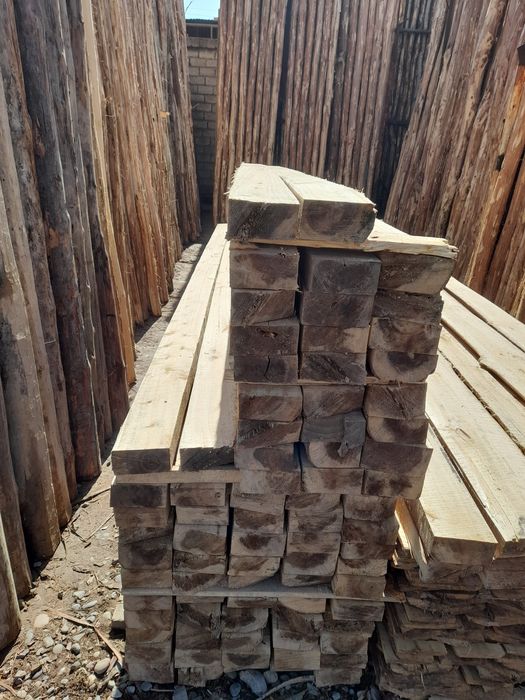 Tere to'sin mahsulotlari