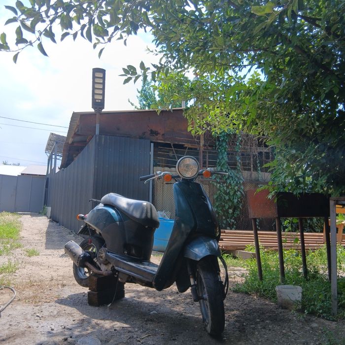 Продам или обмен мопед хонда тудеи аф62