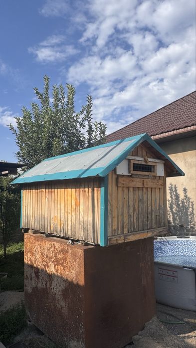 Продам бутку для гооубей или собак