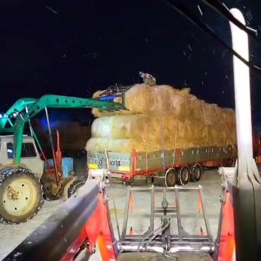 Шөп 2025. Сено разнотравье в рулонах