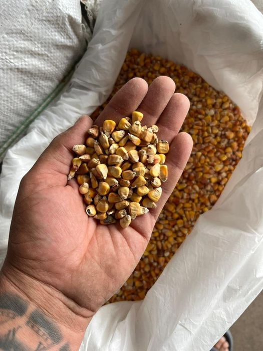 жем отруби с доставкой