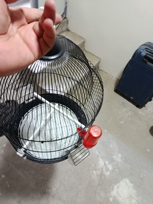 Kletka qafas sotiladi srochniy 100,000