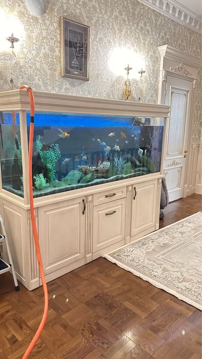 Аквариумы на заказ