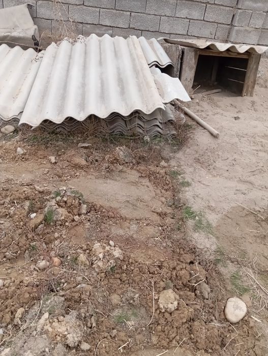 Шиферлер жарайтындары бар