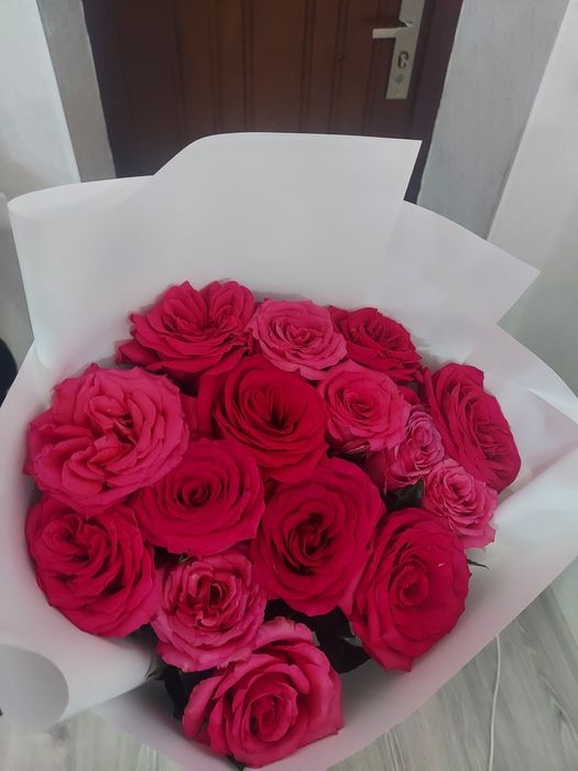 Свежие Цветы Новые