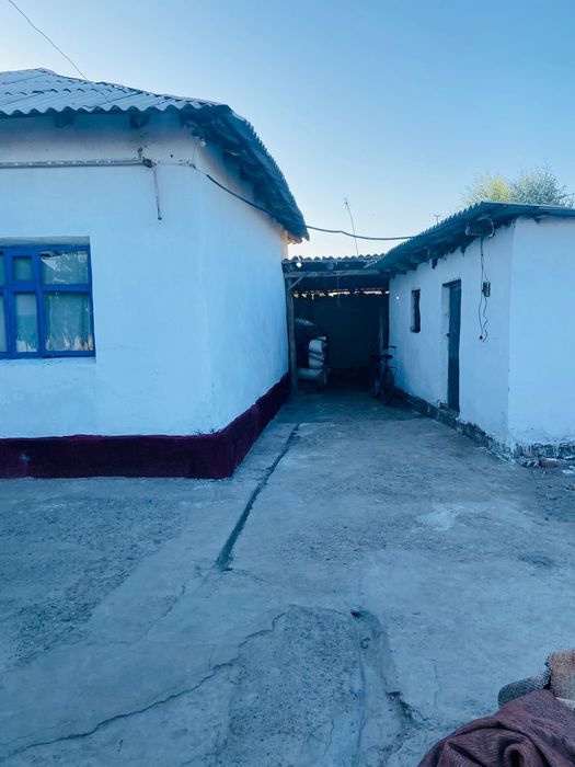 Уй сотилади.Дала ховли