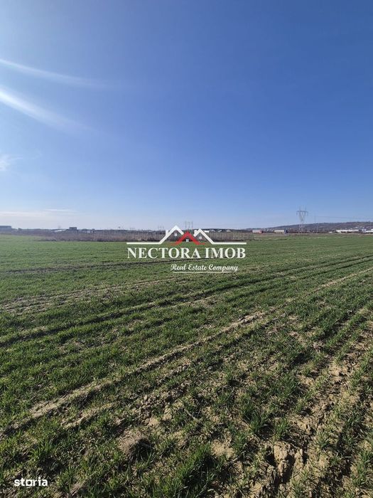 NECTORA IMOB-Teren Intravilan 537 mp, Zona Solay, 250 m de asfalt