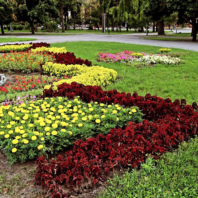 ландшафт дизайн хизмати