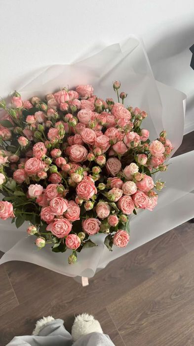 Цветы пионы свежие