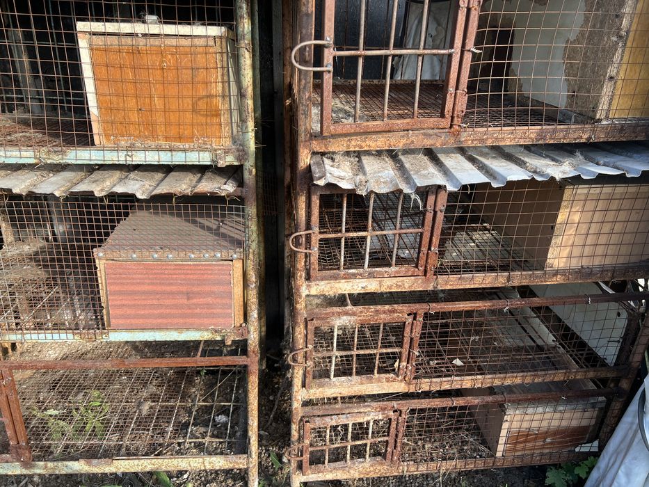 Клетка для кроликов