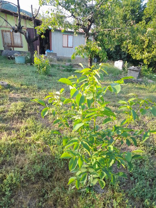 Продава се Парцел в София, Лозенец - 2527 кв.м за 16 €/кв.м - Снимка #8