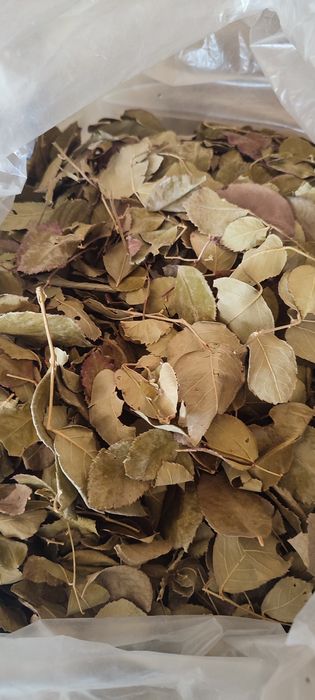 Корм для кроликов трава