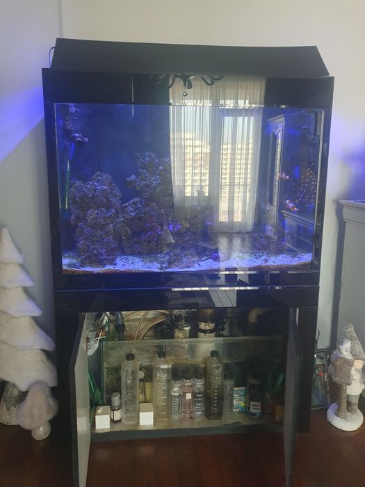 Ocazie! Acvariu marin complet echipat