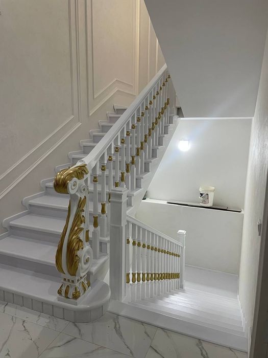 Zina yogʼoch emdf shipon