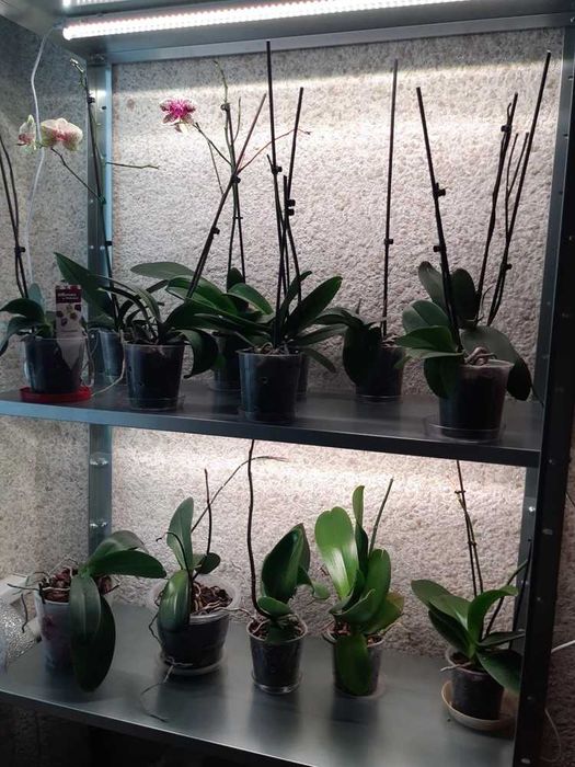 Стеллаж металлический разборно-сборный