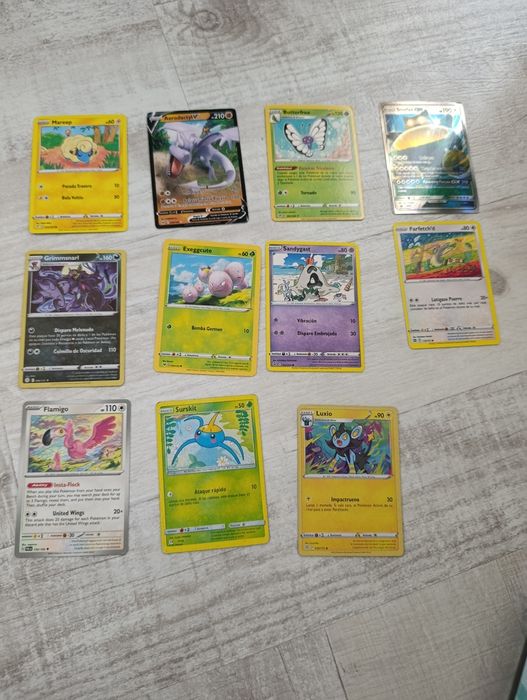 Pokemon cartonase
