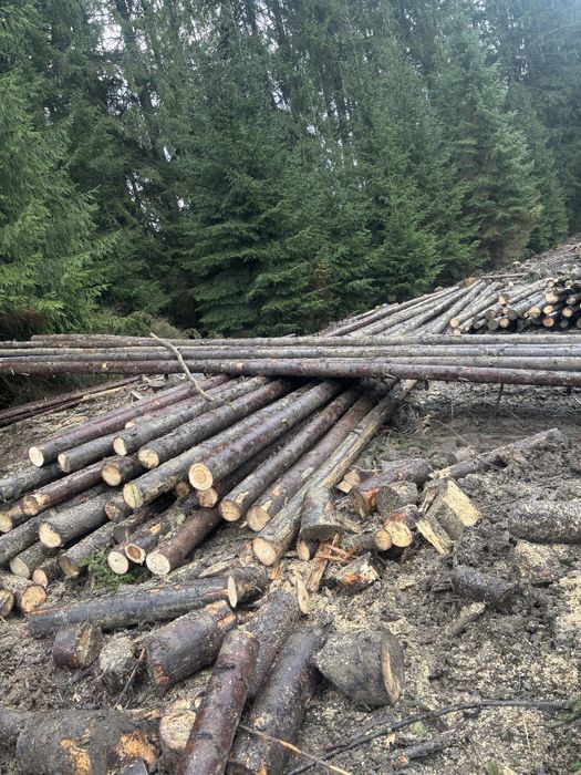 Bile capriori rotunzi pentru constructii