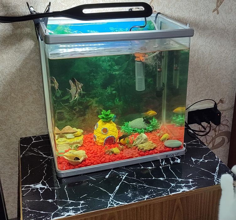 Продам аквариум с фильтром