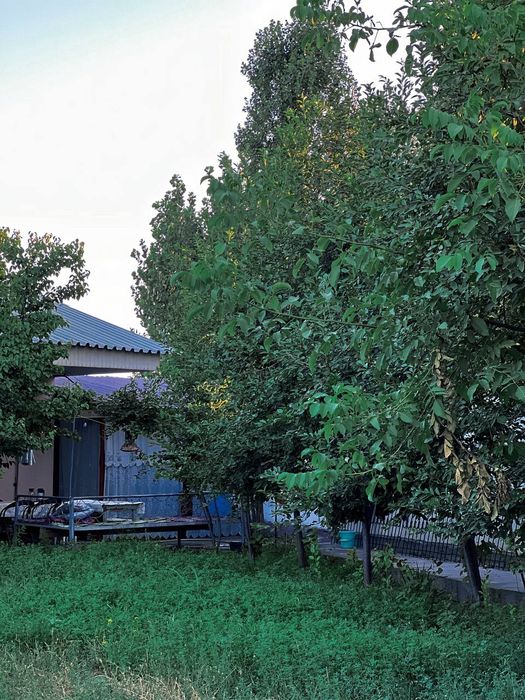 Srochna 7.5 sotix 3 xona uy sotiladi