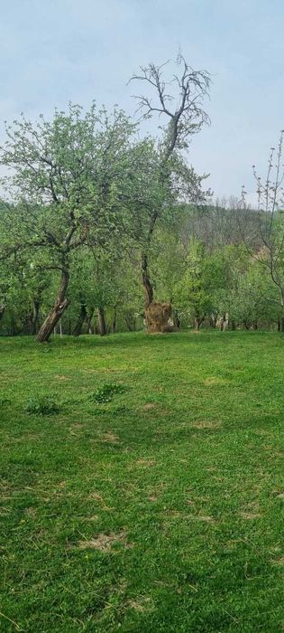 Vand teren constructi si livada