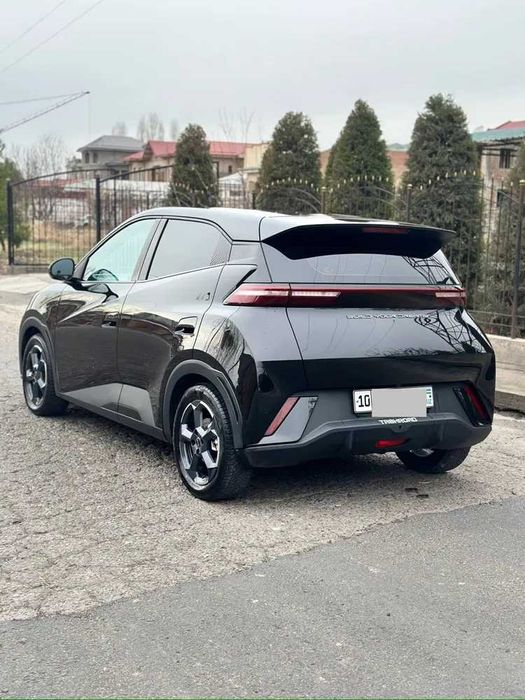 BYD Seagull , Naxt va halol nasiya