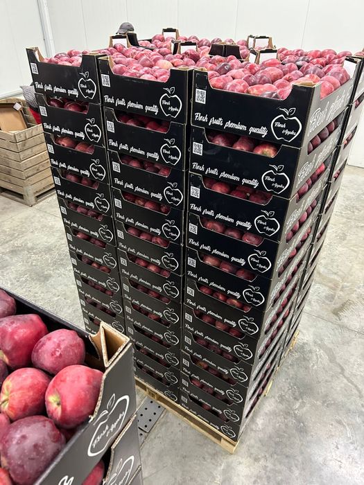 Mere idared golden prince red cif