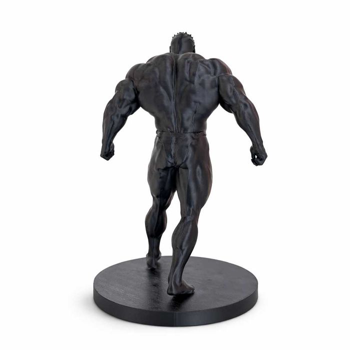 Mr.Olympia Arnold, Lee Haney, Dorian Yates, Ronnie Coleman, Jay Cutler