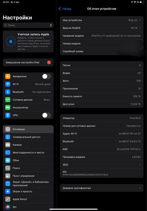 Ipad pro ideal zor