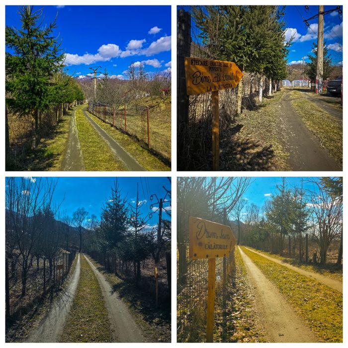 PROPRIETATE IDEALĂ DE PENSIUNE: 2 Case + Teren 1600mp, Retezat / Valea