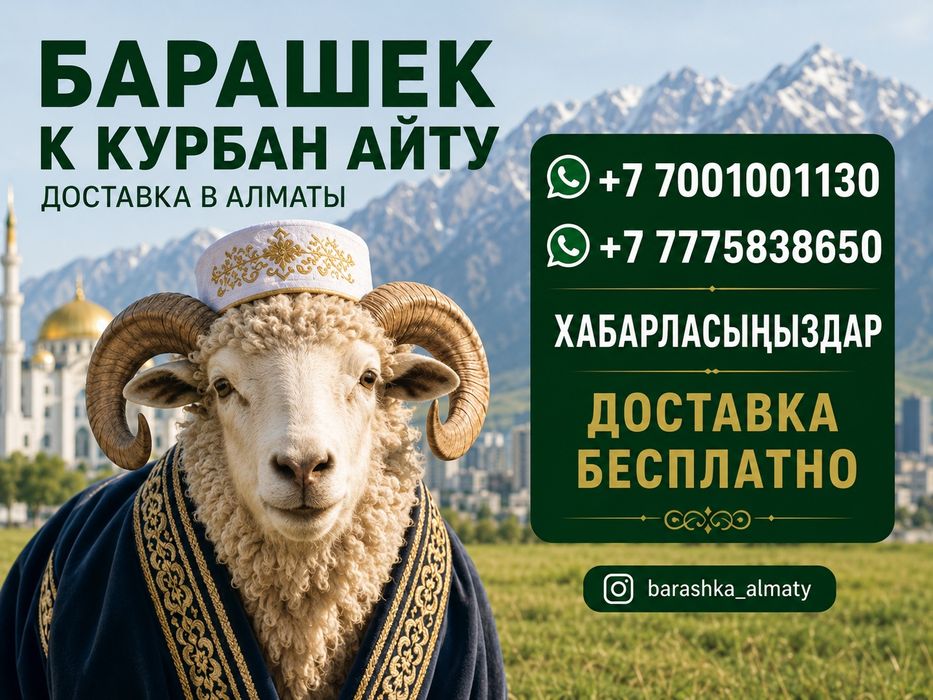 Барашек с доставкой Алматы
