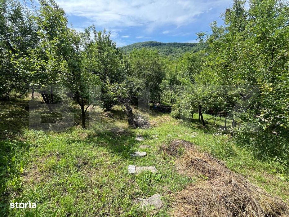 Teren intravilan 11,68 ari – priveliste superba spre vale, aproape d