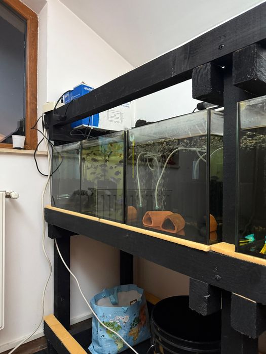 Vand 6 Acvarii de 54 litri aproape noi, compresor aer, bureti