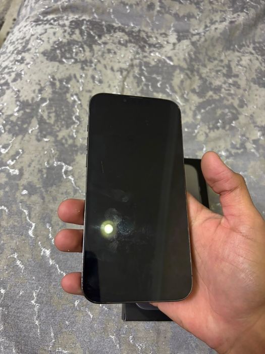 iphone 13pro max