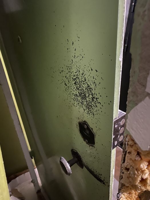 Железная входная дверь