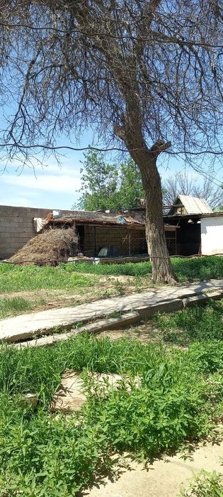 Oazisda  Dacha sotiladi yoki  almashtiramiza