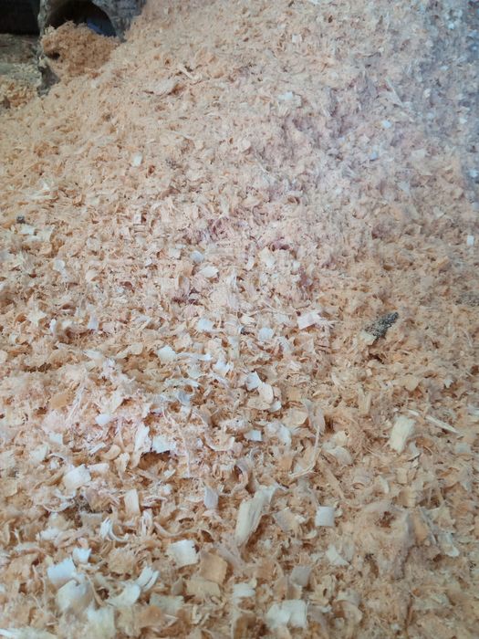 Опилки бик бэк по 2000 теңге