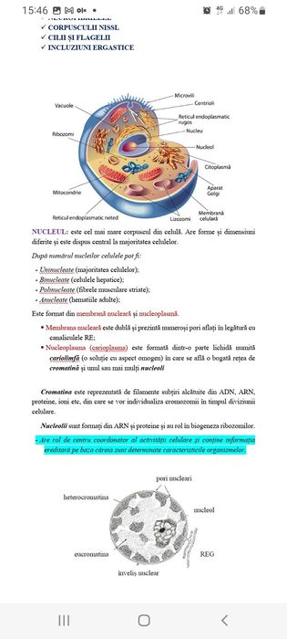 Meditații BAC Biologie
