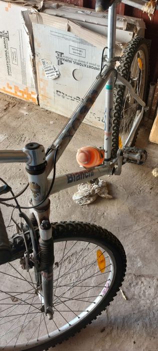 Bicicleta adulti