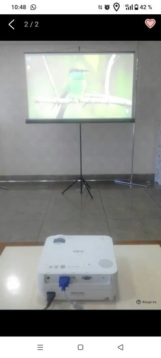 Сдам в аренду проектор