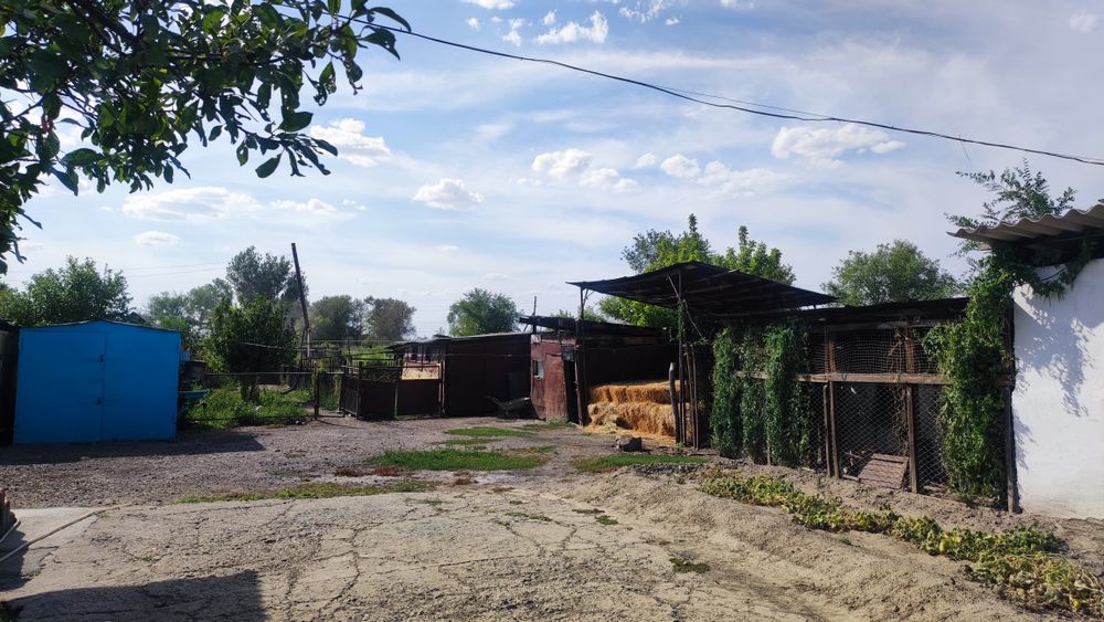 Үй. Пәтер. Саудасы бар! Келісеміз!