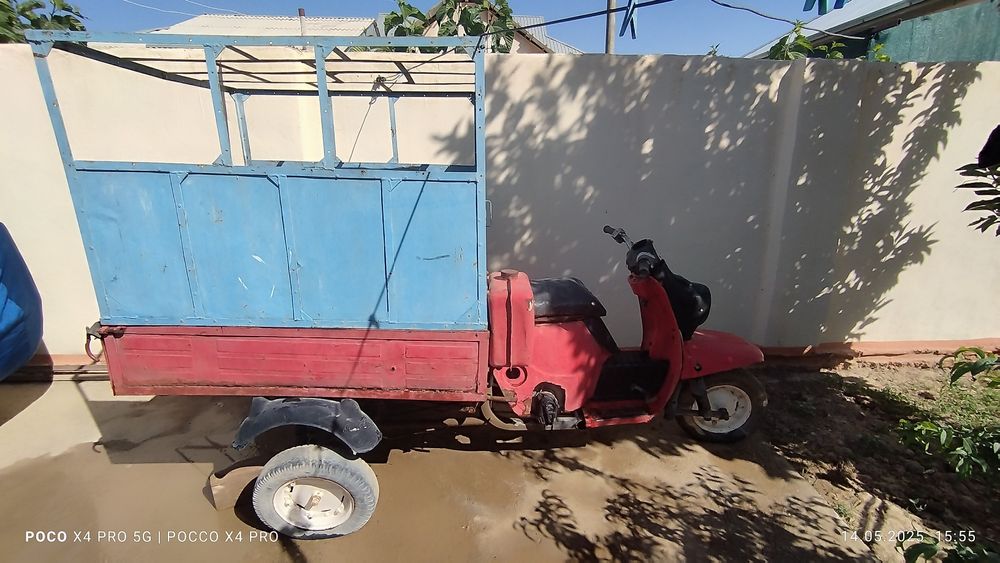 muravey sotiladi srochni