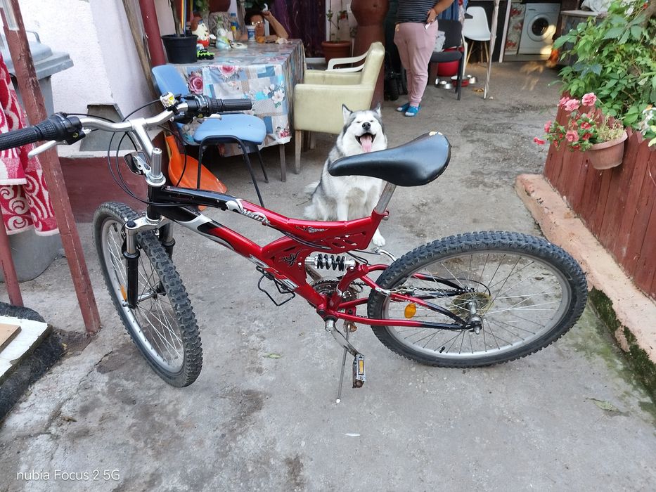 Bicicleta bărbați dama