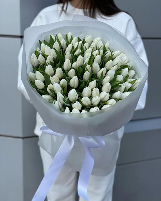 Тюльпаны К 8 Марту!