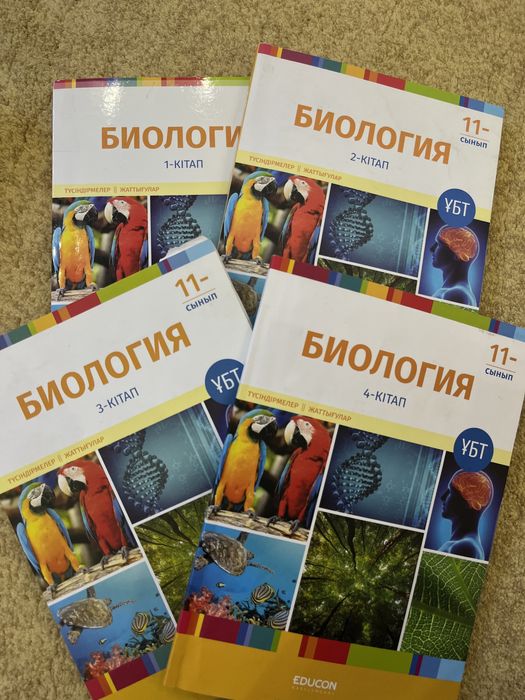 Белдік киген әйелдермен порно