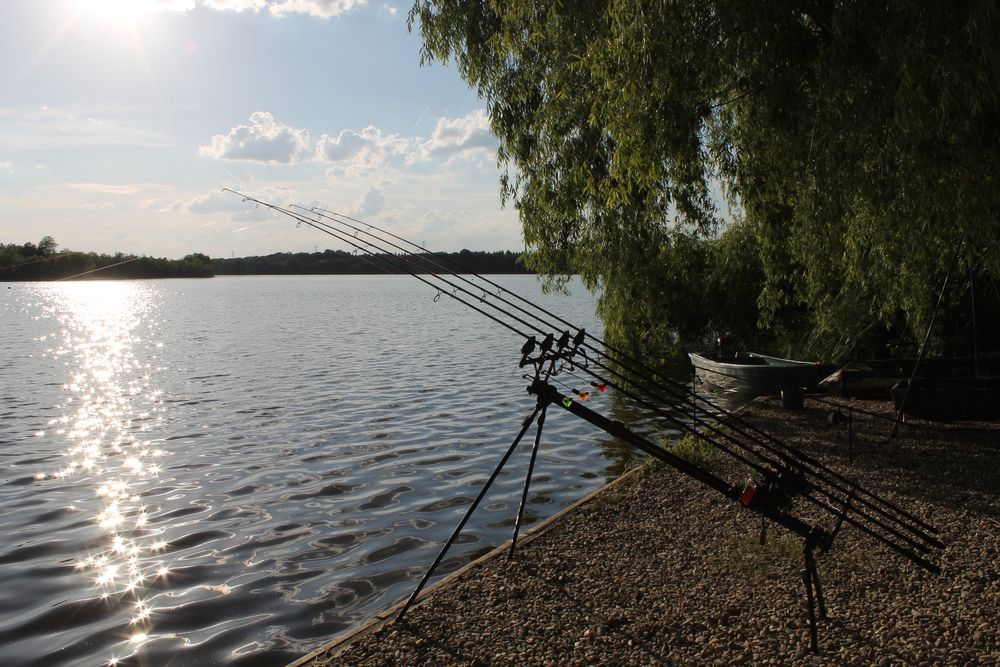 Vand Rod Pod Fox Ranger MK2 + buzz bari extended