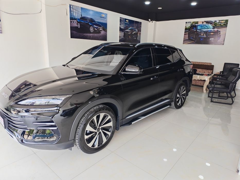 Продается Биваеди чемпион гибрид 2024/2025