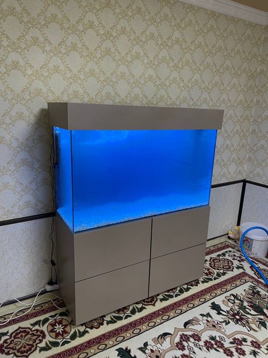 Akvarium zakas asosida tayyorlab beramiza